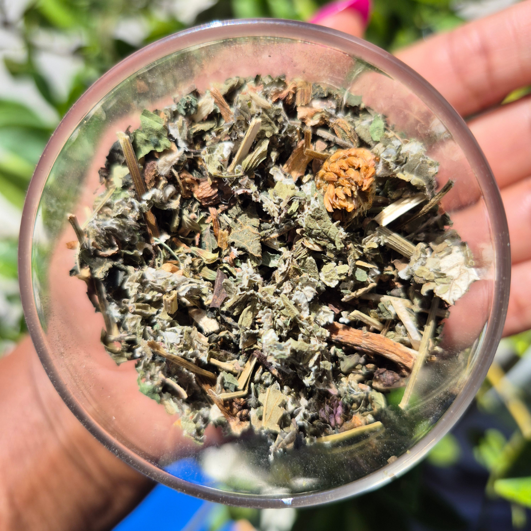 Hand holding a clear glass container filled with dried herbs against a blurred natural background Bloom Within