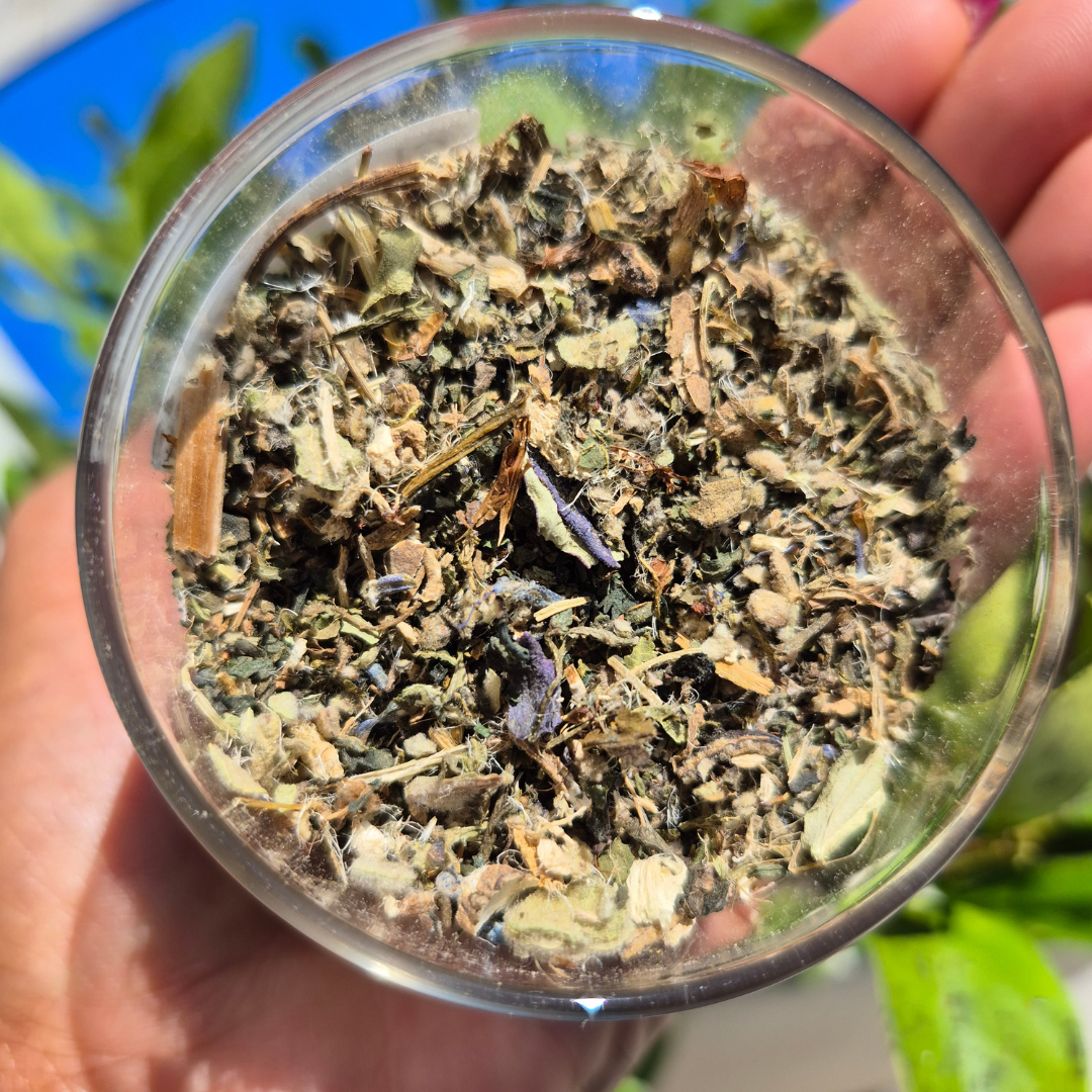 Glass container filled with dried herbs held by a hand against a natural background Clear & Free
