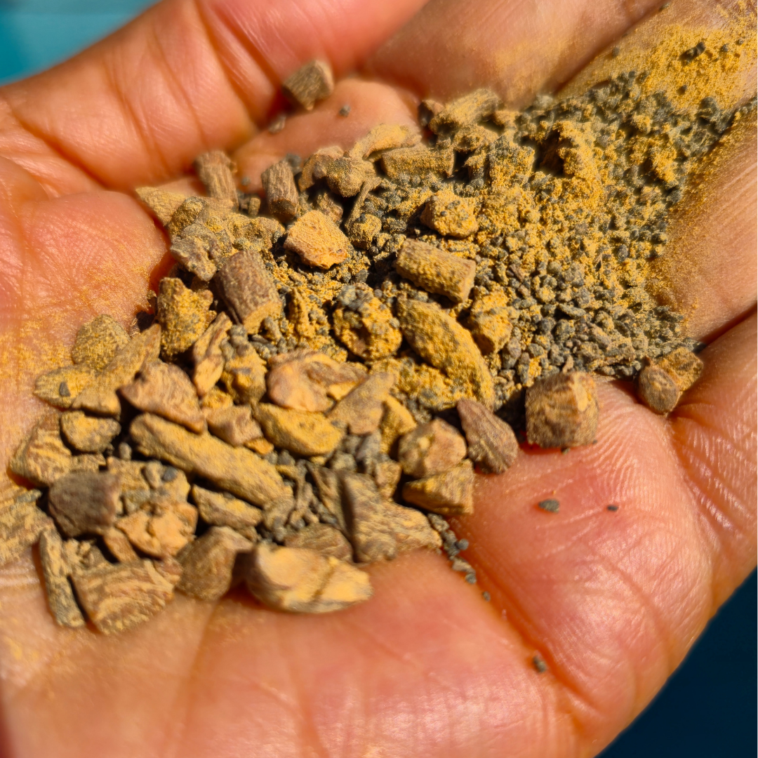 Hand holding a small pile of brown and gray rocks Herbal Coffee